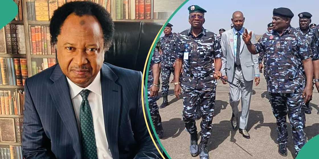 State police: Shehu Sani speaks on what will happen when state and FG clash State police: Shehu Sani speaks on what will happen when state and FG clash