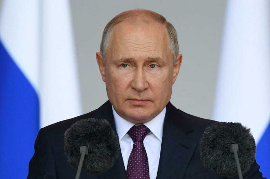 Putin Putin