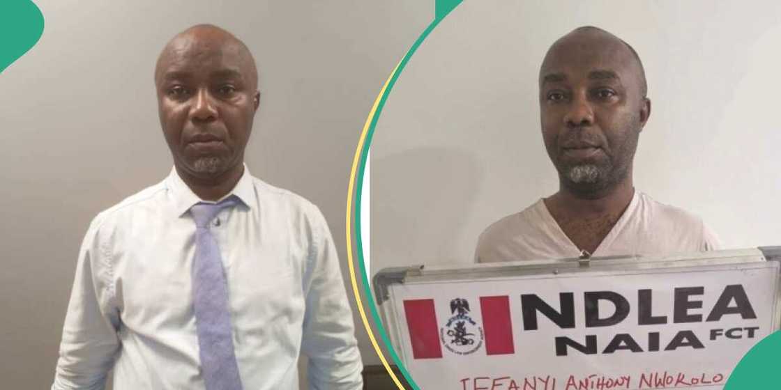 NDLEA, Drug, Lagos NDLEA, Drug, Lagos