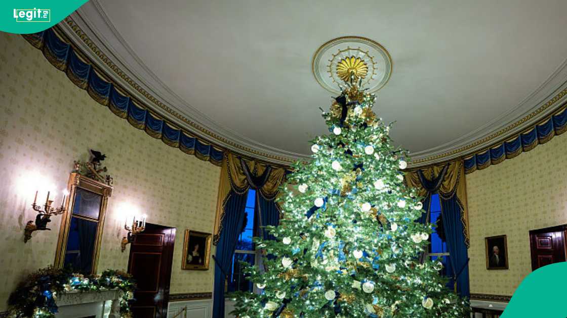 Visitors enjoy public Christmas tours as the White House showcases the "Home is Where the Heart Is" holiday theme.