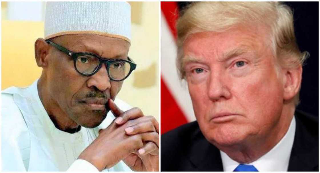 Haramta shiga Amurka kan magudi: Kada ku raina mana wayo - Gwamnatin tarayya Haramta shiga Amurka kan magudi: Kada ku raina mana wayo - Gwamnatin tarayya