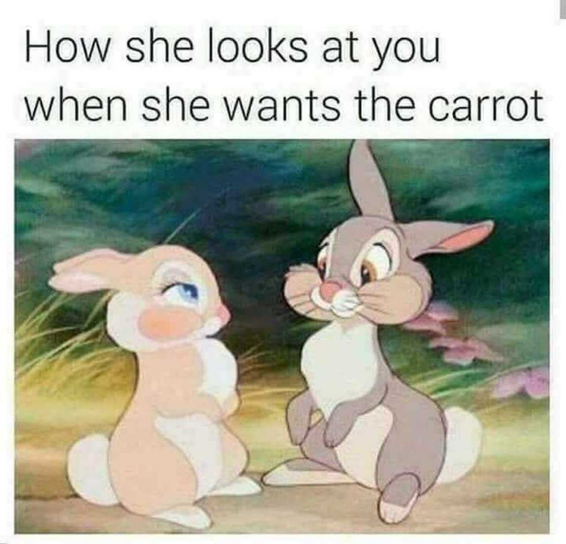 flirting meme flirting meme