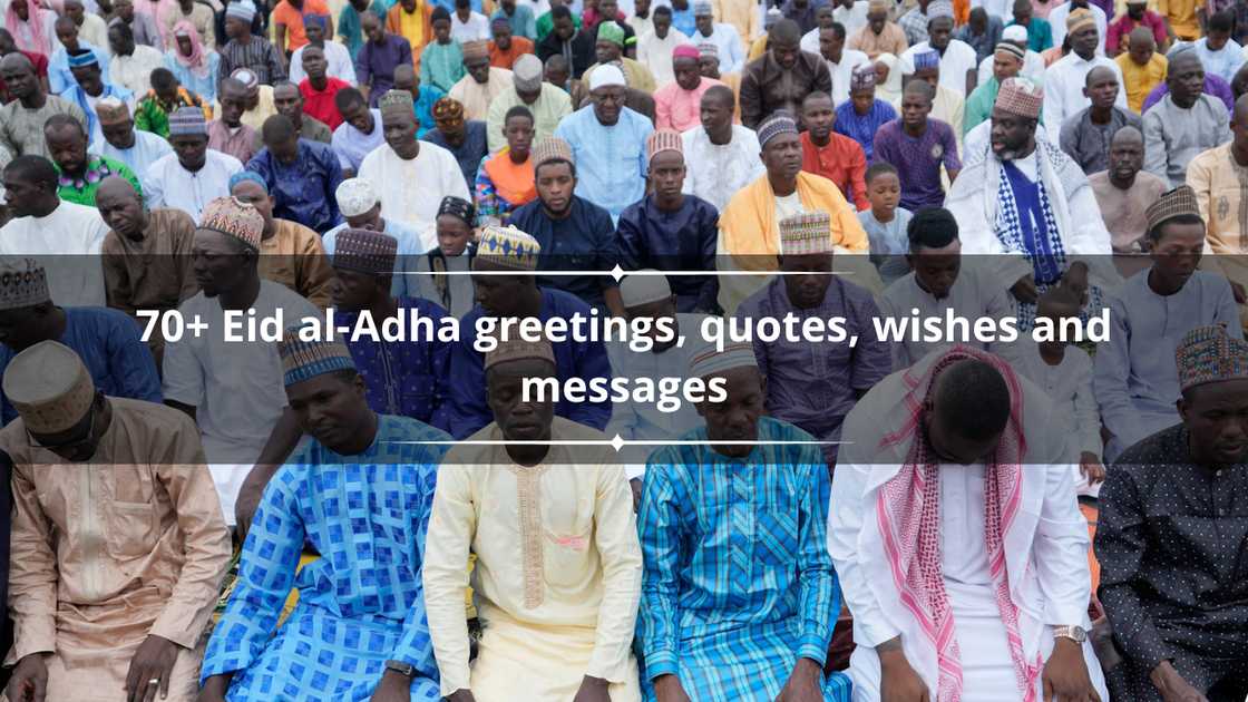 Nigerian Muslims kneeling in prayer Nigerian Muslims kneeling in prayer