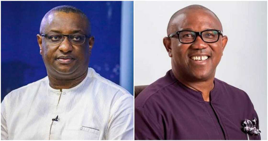 Festus Keyamo, Peter Obi, APC, Labour Party, election petition tribunal