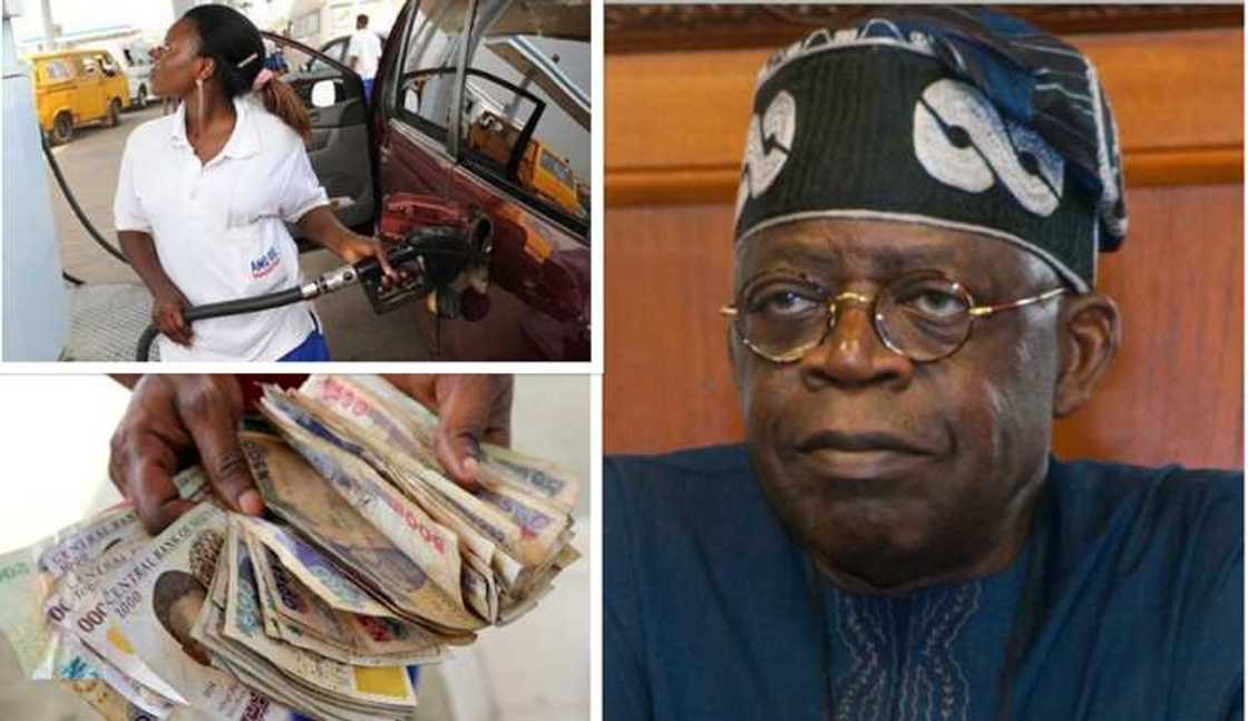 Fuel subsidy removal palliatives Fuel subsidy removal palliatives