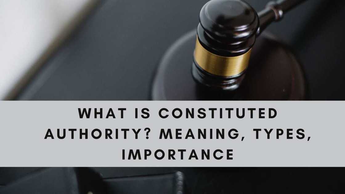 What are the four types of constituted authority? What are the four types of constituted authority?