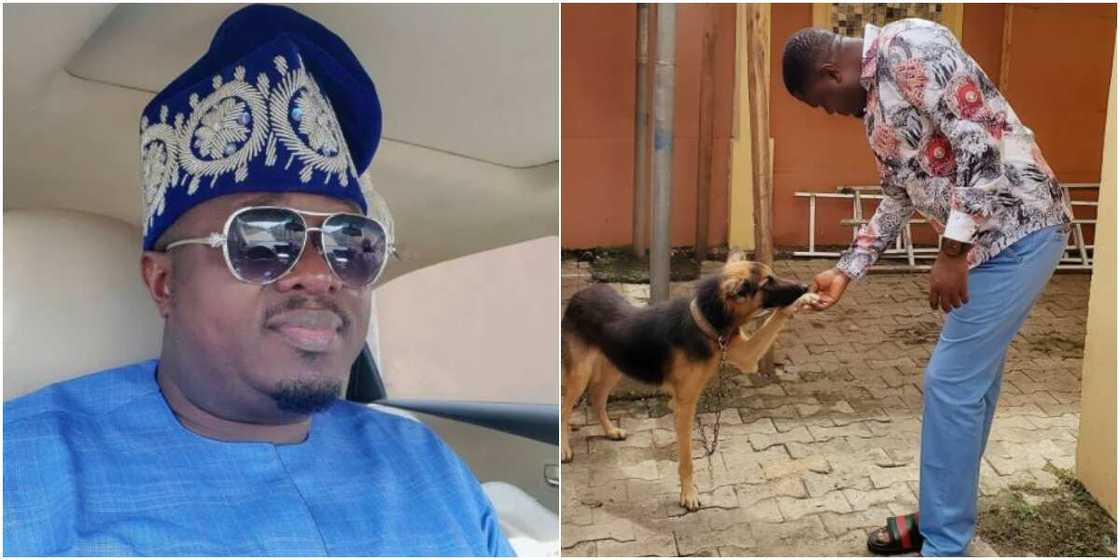 Actor Muyiwa Ademola mourns the death of his dog (photo)