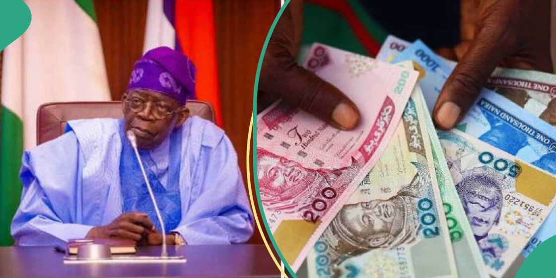 Shugaba Tinubu. Shugaba Tinubu.