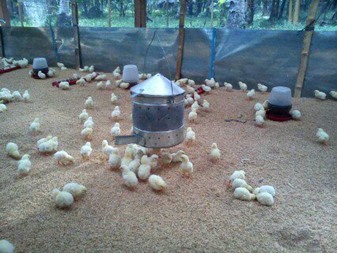 Charcoal stove Charcoal stove