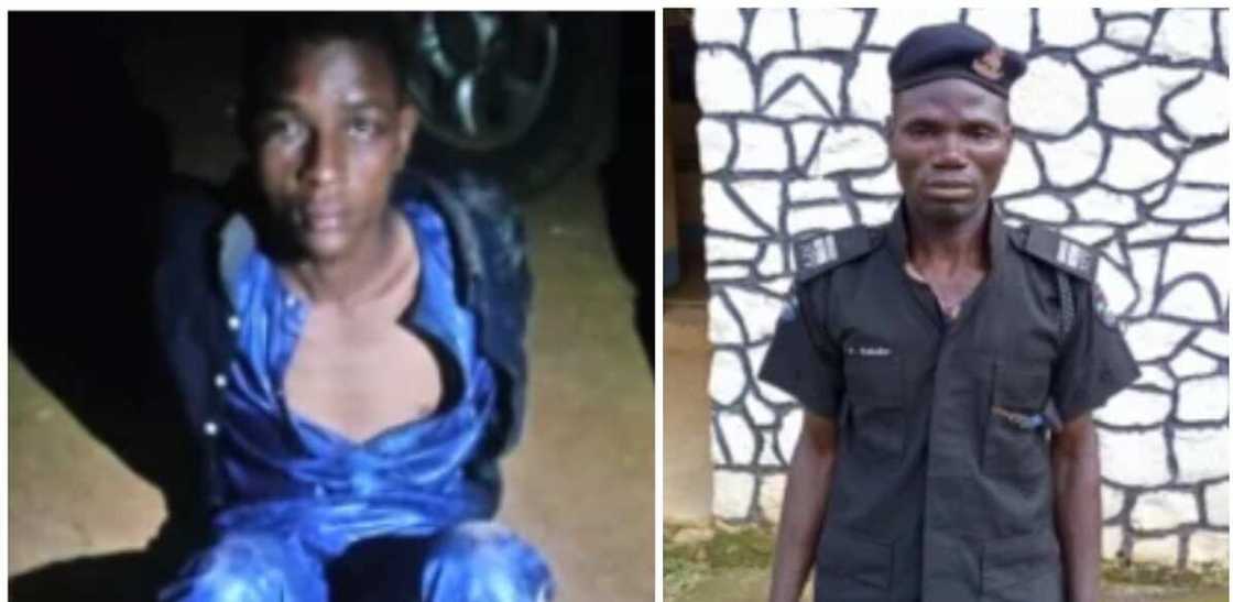 Hotunan muggan bindigu da harsasai da 'yan sanda suka ƙwato daga hannun 'yan bindiga a Kaduna Hotunan muggan bindigu da harsasai da 'yan sanda suka ƙwato daga hannun 'yan bindiga a Kaduna