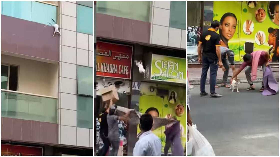 Some onlookers stood in amazement. Some onlookers stood in amazement.