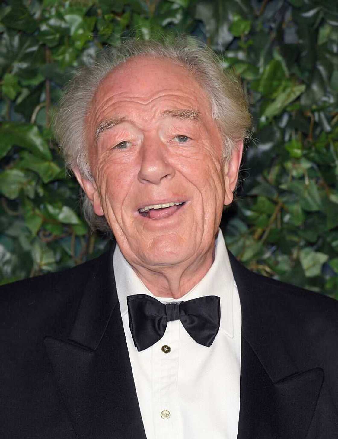 Michael Gambon Michael Gambon