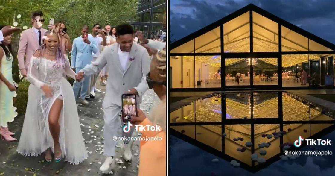 SA white wedding goes TikTok viral SA white wedding goes TikTok viral