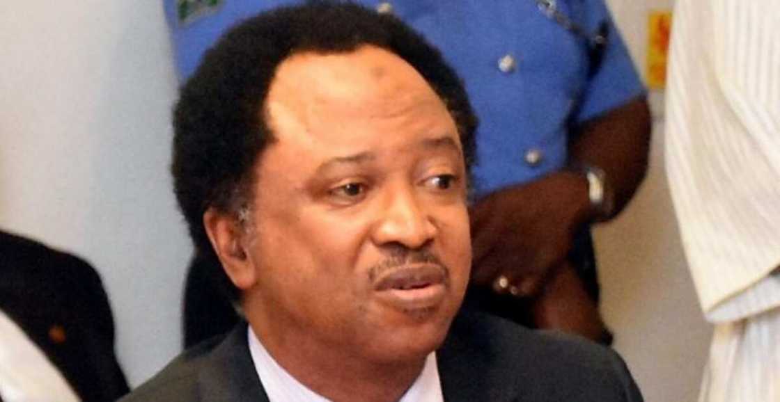 Shehu Sani ya yi tsokaci kan ƙarin albashin manyan 'yan siyasa Shehu Sani ya yi tsokaci kan ƙarin albashin manyan 'yan siyasa
