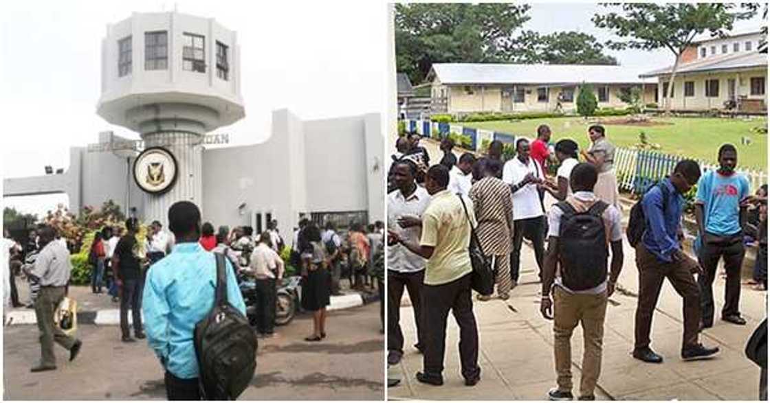 COVID-19: ASUU, vice-chancellors clash over reopening of universities COVID-19: ASUU, vice-chancellors clash over reopening of universities