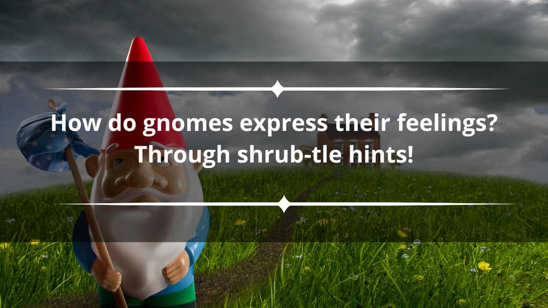 Short gnome puns Short gnome puns