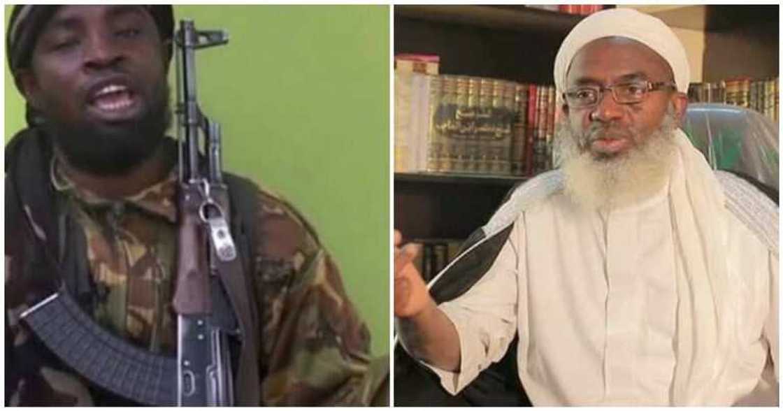 'Kaicon ka': Shekau ya caccaki Sheikh Gumi saboda tattaunawa da 'yan bindiga