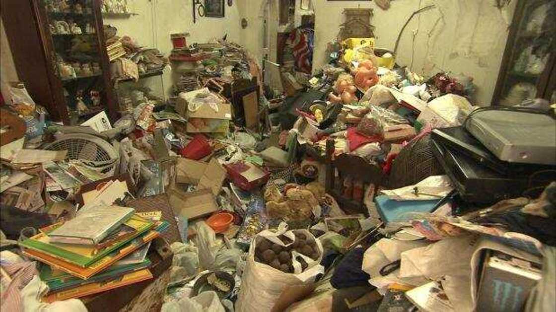 funniest hoarders episodes