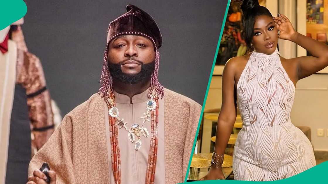 Davido and Sophia Momodu fight over custody battle of daughter