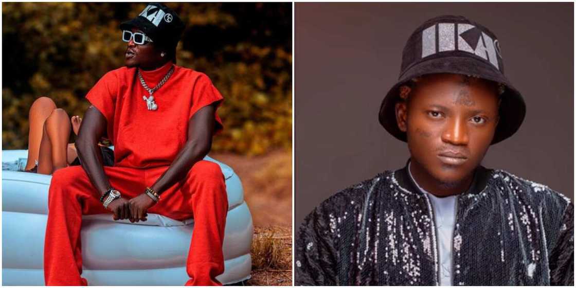 Portable, Portable Portable, Portable