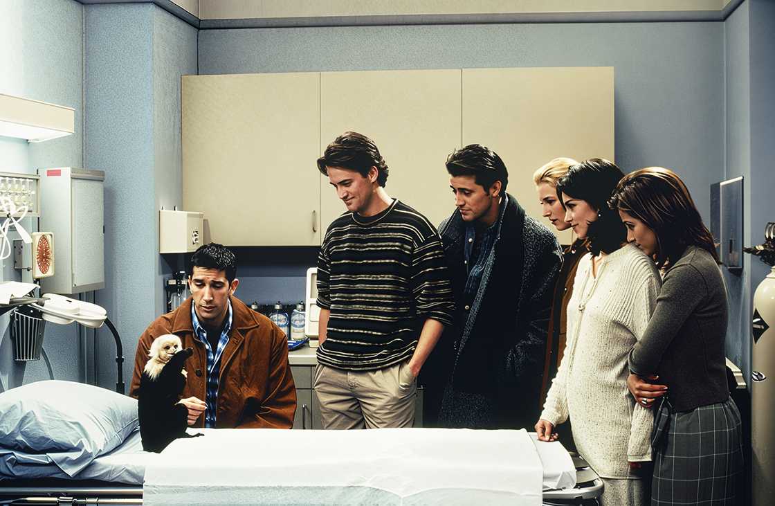 From (L to R) Monkey as Marcel on the bed, Ross Geller, Chandler Bing, Joey Tribbiani, Phoebe Buffay, Monica Geller, and Rachel Green on "Friends"