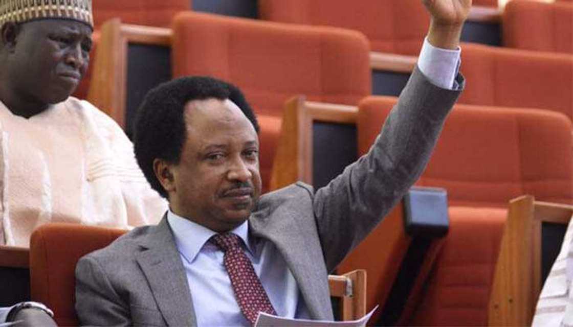 Do this to end farmer-herder crisis - Ex-senator Shehu Sani shares solution Do this to end farmer-herder crisis - Ex-senator Shehu Sani shares solution