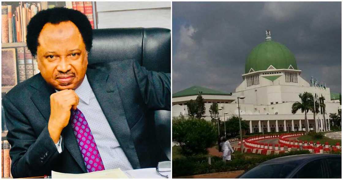 Shehu Sani/National Assembly/ N500b palliative/ Fuel subsidy removal palliatives/ Palliatives for subsidy removal