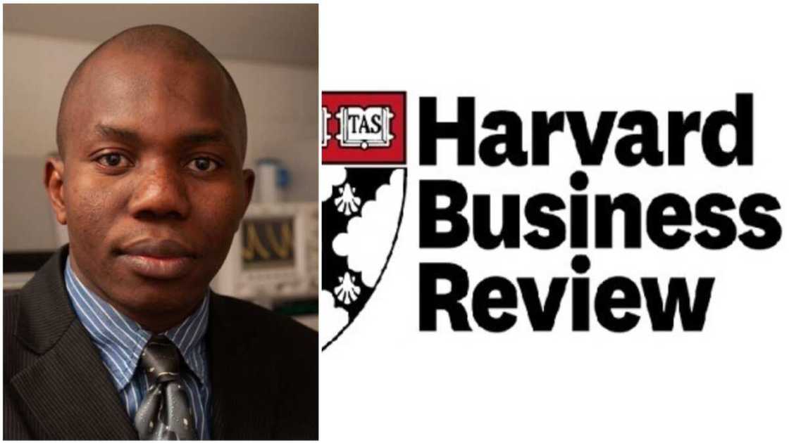 Ndubuisi Ekekwe's work on Igbo Apprenticeship System Finally Approved by Harvard Business Review