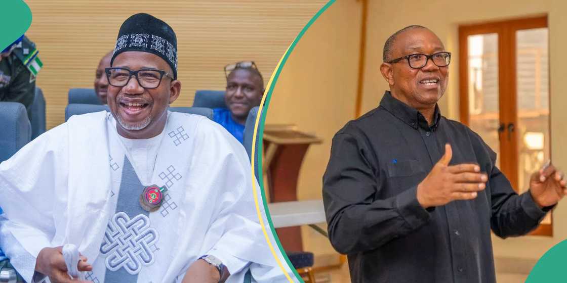 Bauchi governor urges Peter Obi to return to PDP