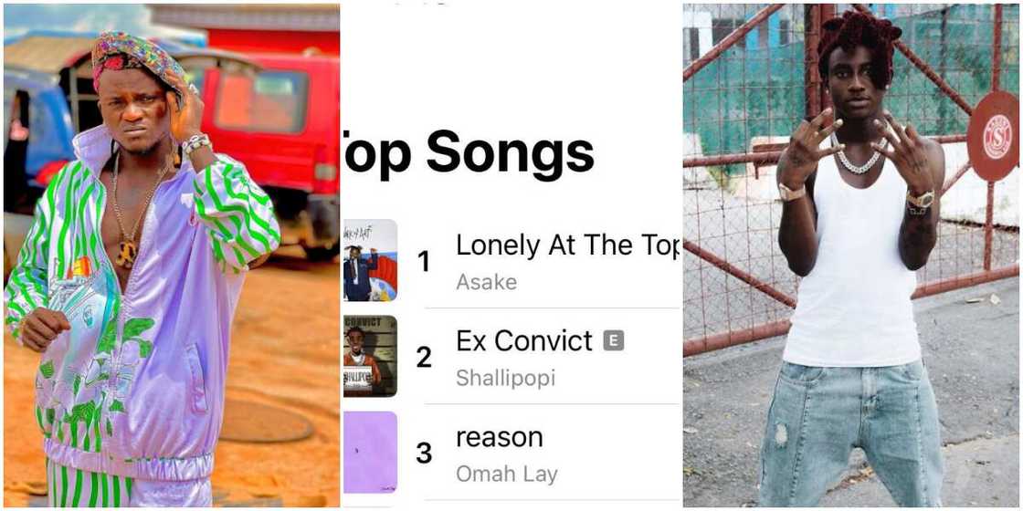 Portable, Shallipopi sits on number 2 spot of Apple music Nigeria, Shallipopi Portable, Shallipopi sits on number 2 spot of Apple music Nigeria, Shallipopi