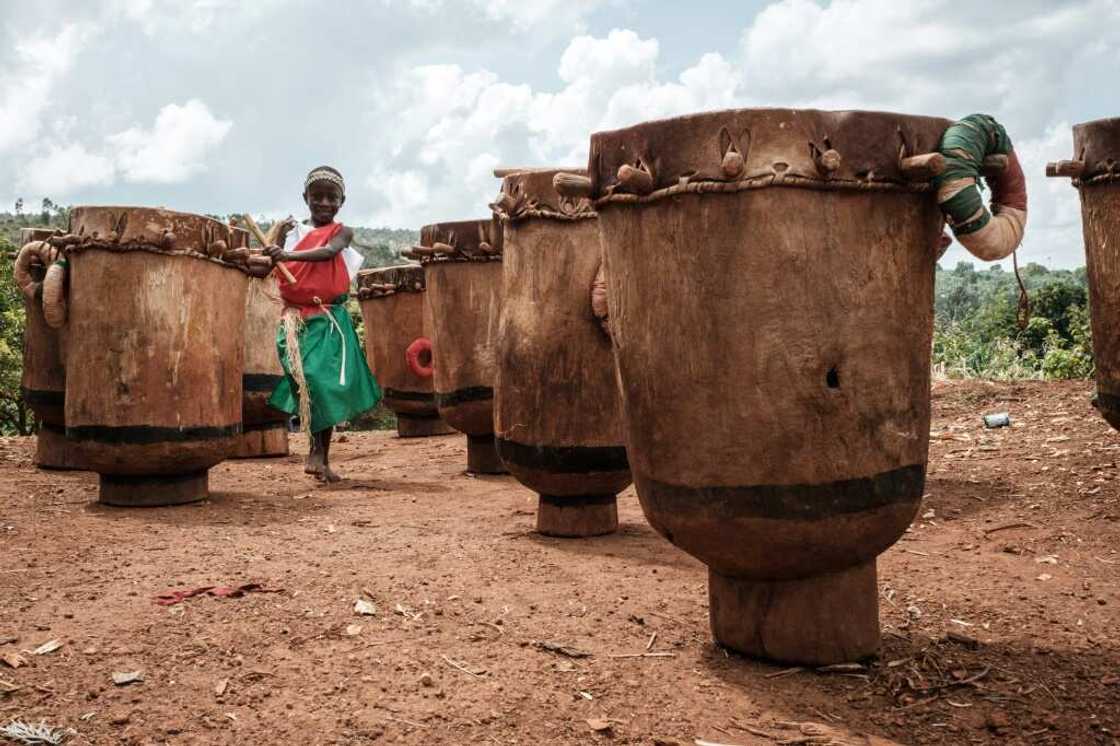 For a long time, the drums could only be carved from the gigantic trunks of 'umuvugaangoma', or 'the tree that makes the drum talk'