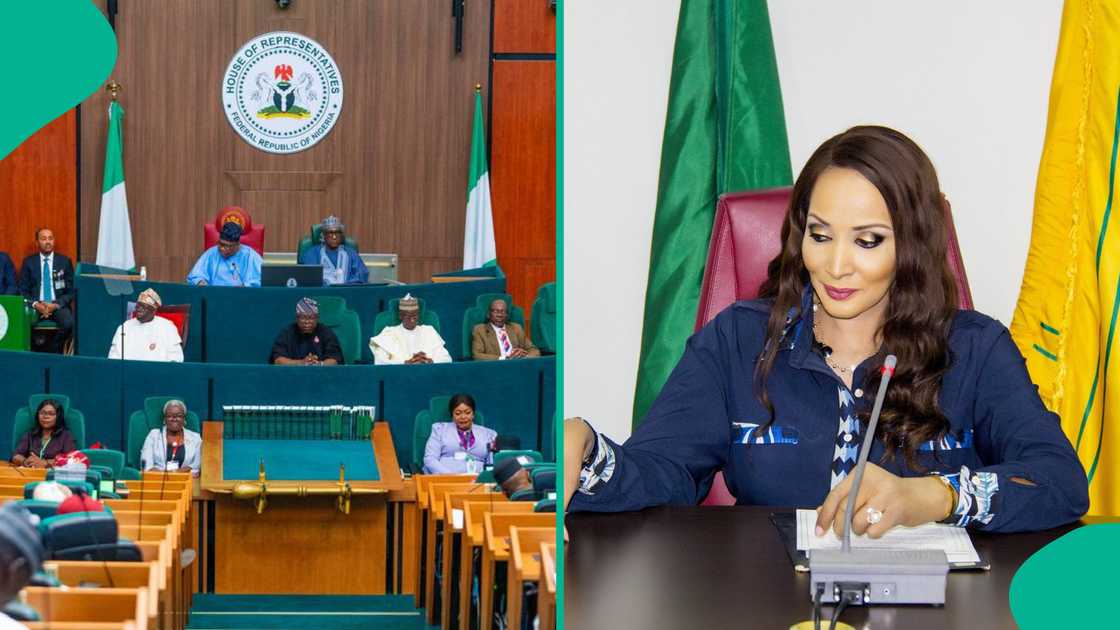 Bianca Odumegwu-Ojukwu says the National Assembly will determine any retaliatory measures against South Africa as Nigeria pursues diplomatic engagement over alleged xenophobic attacks.