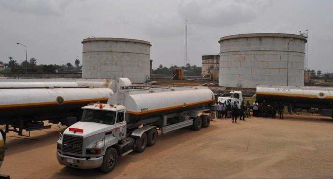 Anambra Election: Petroleum Marketers to Shut Down in Southeast State on Thursday Anambra Election: Petroleum Marketers to Shut Down in Southeast State on Thursday