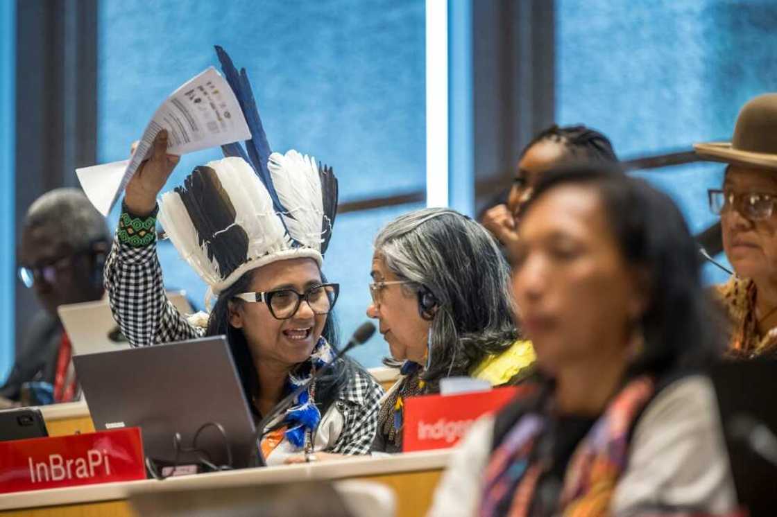 The treaty was agreed at the UN's WIPO agency The treaty was agreed at the UN's WIPO agency