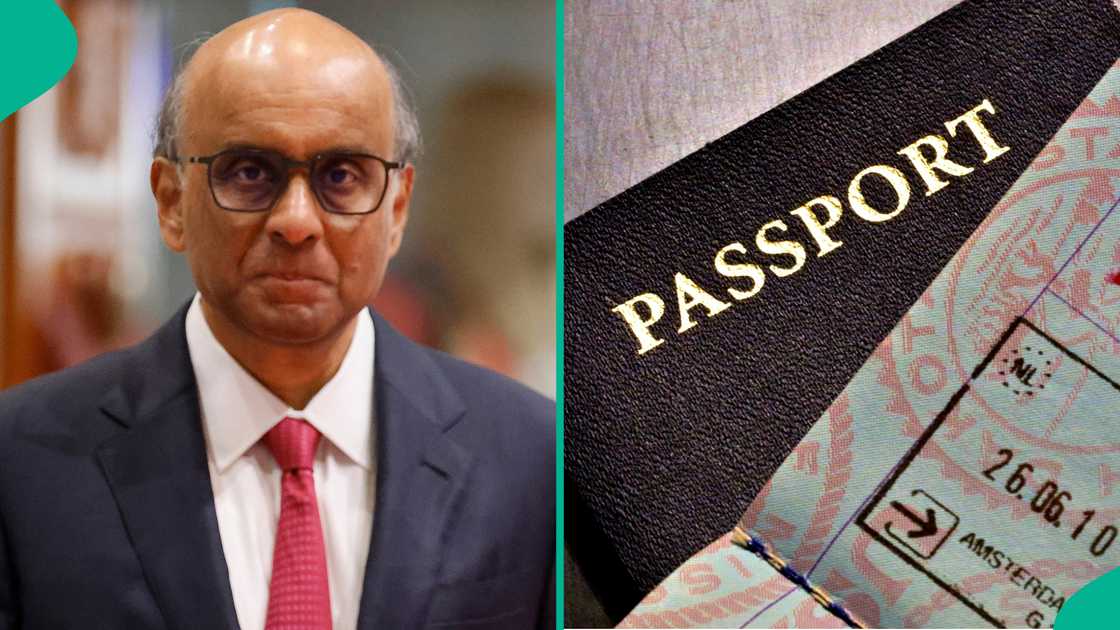 See 7 categories of foreigners eligible for Singapore Long-Term Visit Pass