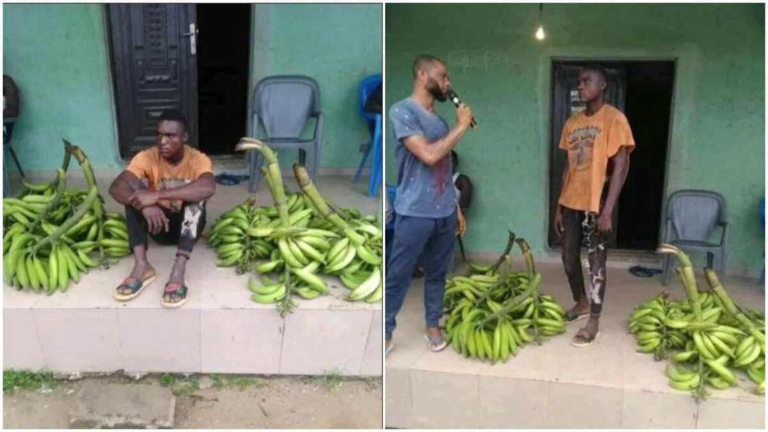 Man 'Steals' Bunches of Plantain, Says He Did for Girlfriend Who Needed N10k Makeup, Nigerians React Man 'Steals' Bunches of Plantain, Says He Did for Girlfriend Who Needed N10k Makeup, Nigerians React