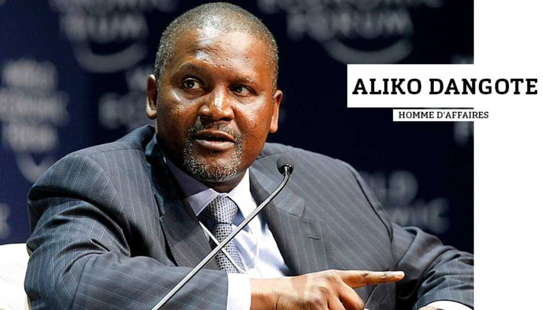 Aliko Dangote education history Aliko Dangote education history