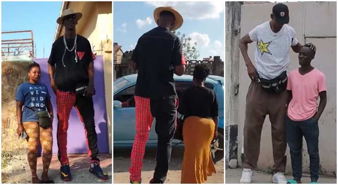 Photos of Tanzanian giant called Julius standing with people. Photos of Tanzanian giant called Julius standing with people.