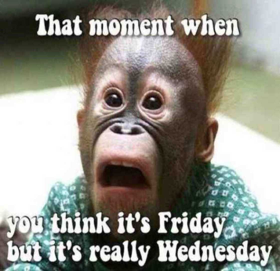 Happy Wednesday Happy Wednesday
