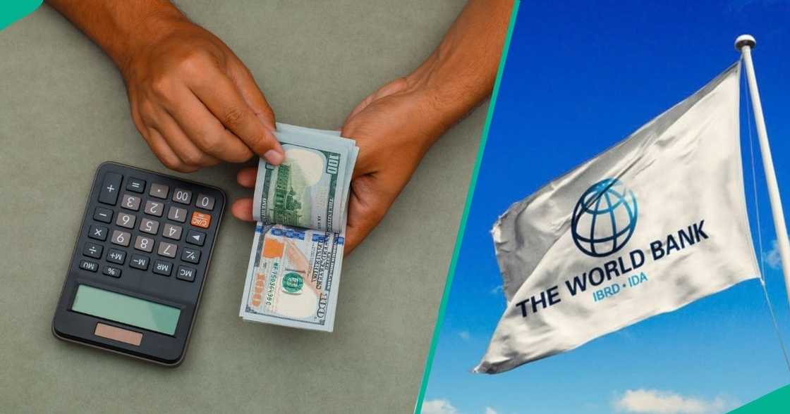 The naira weakened by 2.6% between March and June 2026 but recovered some ground by August