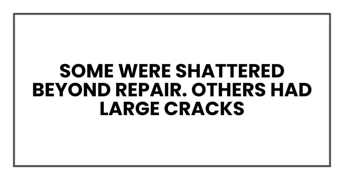 Some were shattered beyond repair. Others had large cracks