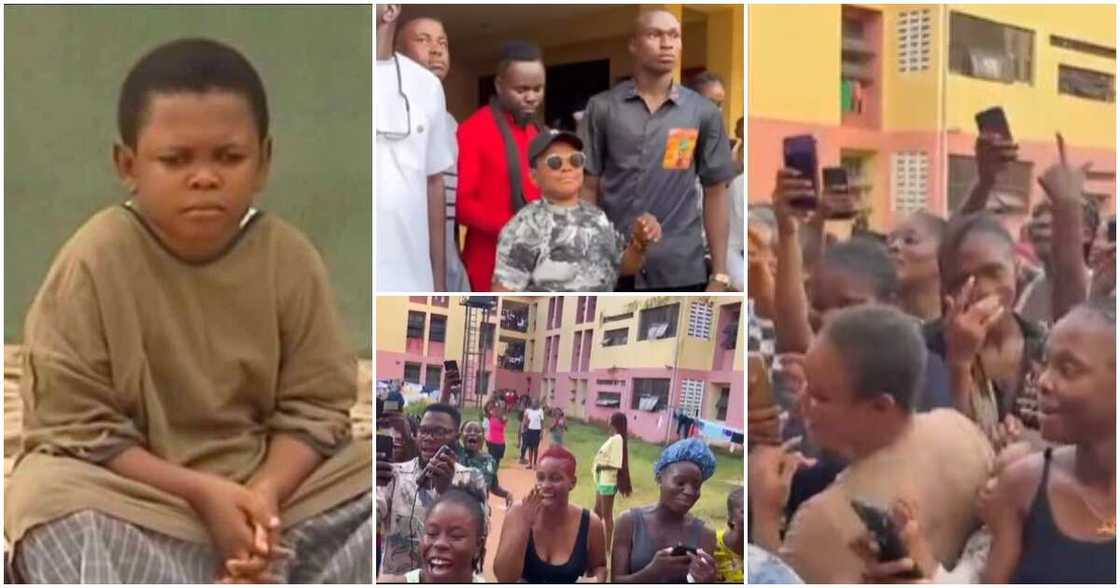 Pawpaw, Delsu Pawpaw, Delsu