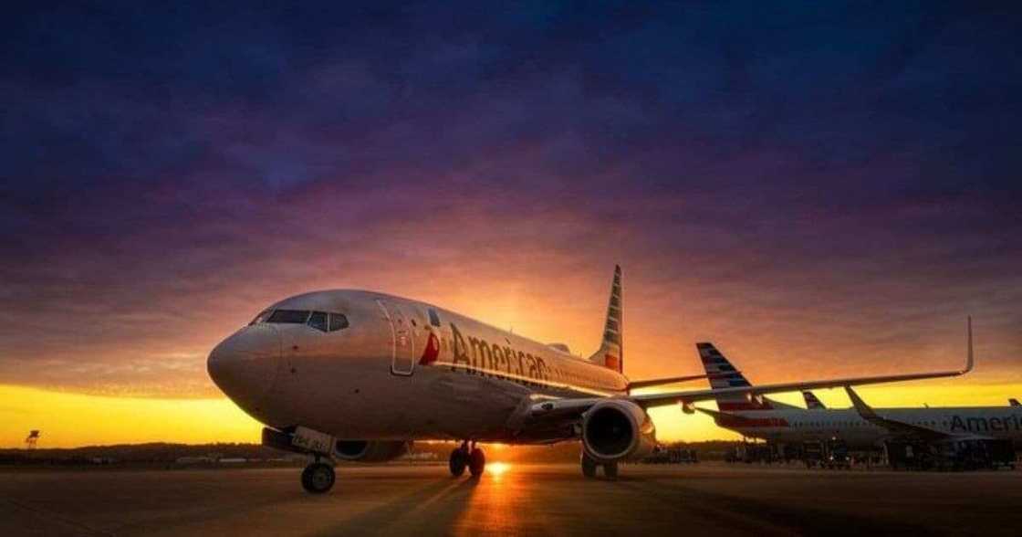 Kindhearted Pilot Praised for Offering Pizza to Passengers after Diverting Flight over Bad Weather