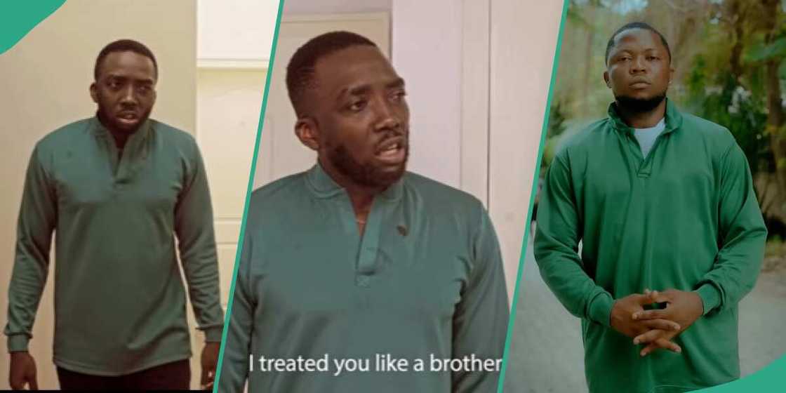 Bovi, Brain Jotter Bovi, Brain Jotter