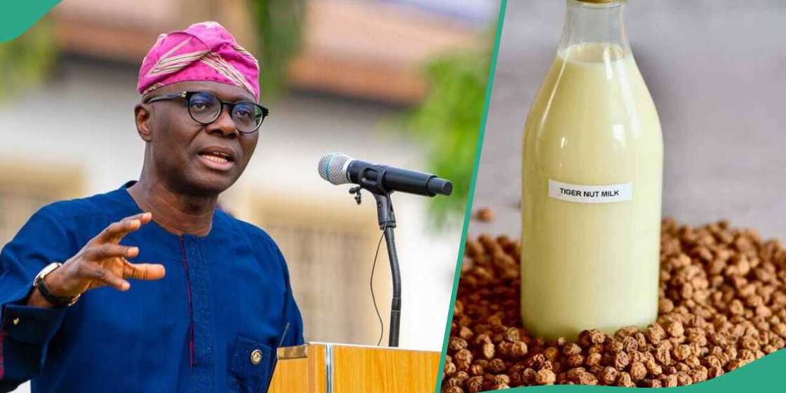 Kwankwaɗar kunun aya ya hallaka mutane 24 da kwantar da 34 Kwankwaɗar kunun aya ya hallaka mutane 24 da kwantar da 34