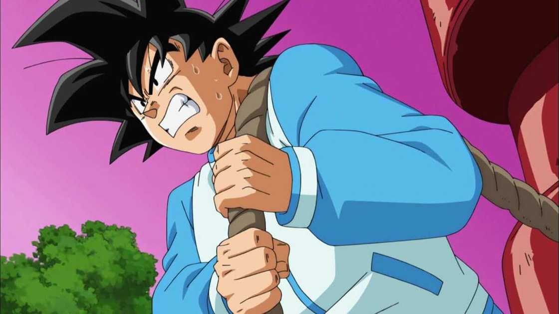 anime suggestions anime suggestions