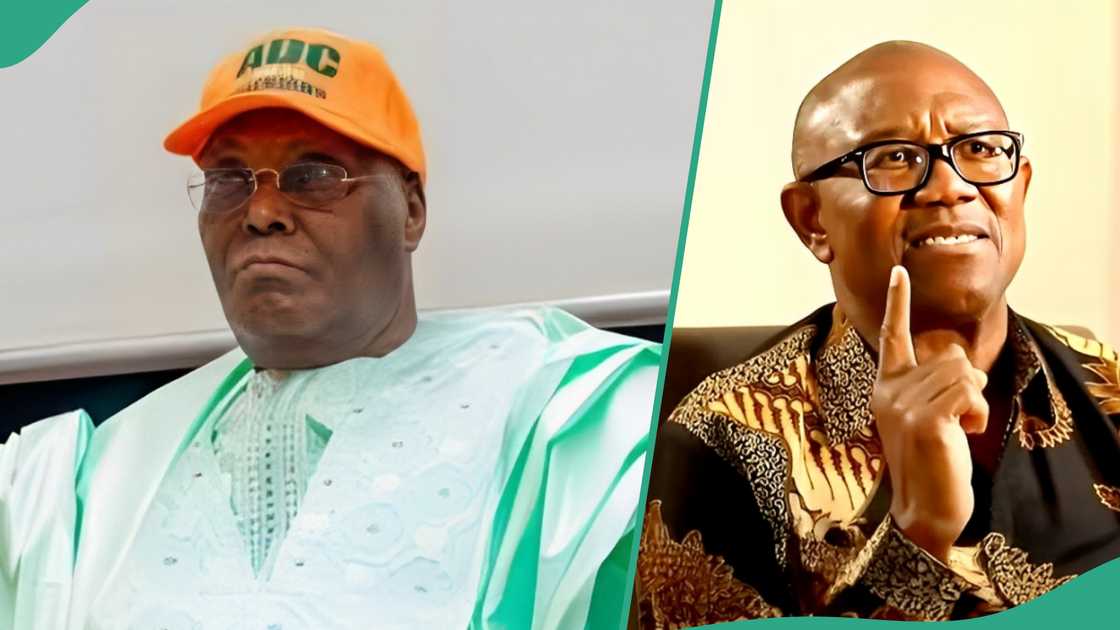 Analyst explains why ADC should not zone its presidential ticket to the south