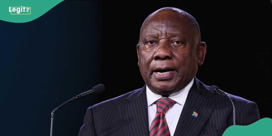 At least 13 children died after a truck collided with a school minibus in Gauteng.