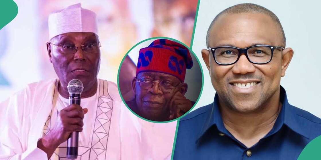 LP, APC, PDP, Supreme Court, peter Obi, Tinubu, Atiku