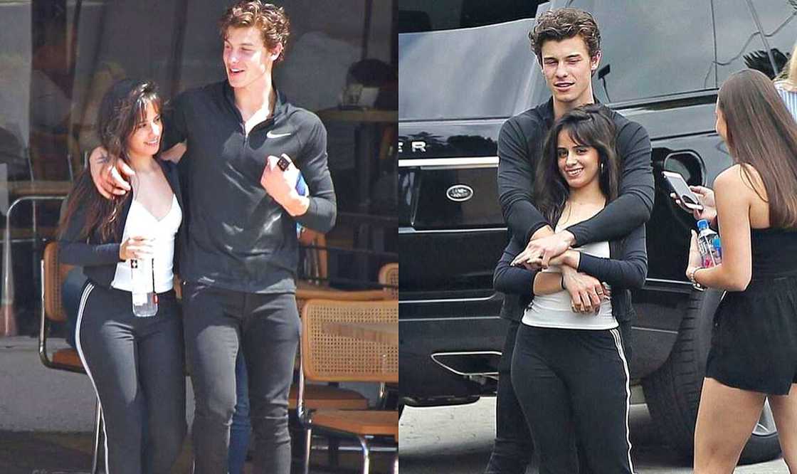 Shawn Mendes and Camila Cabello